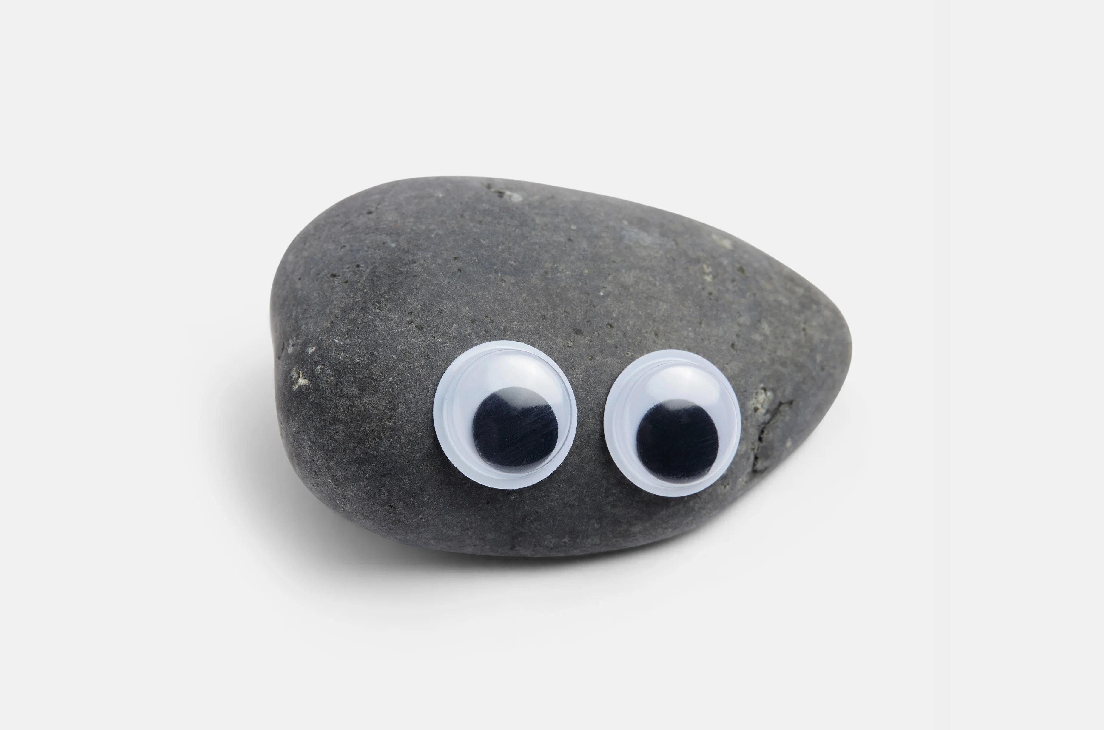 Everything Everywhere Pet Rock™ - Image 2