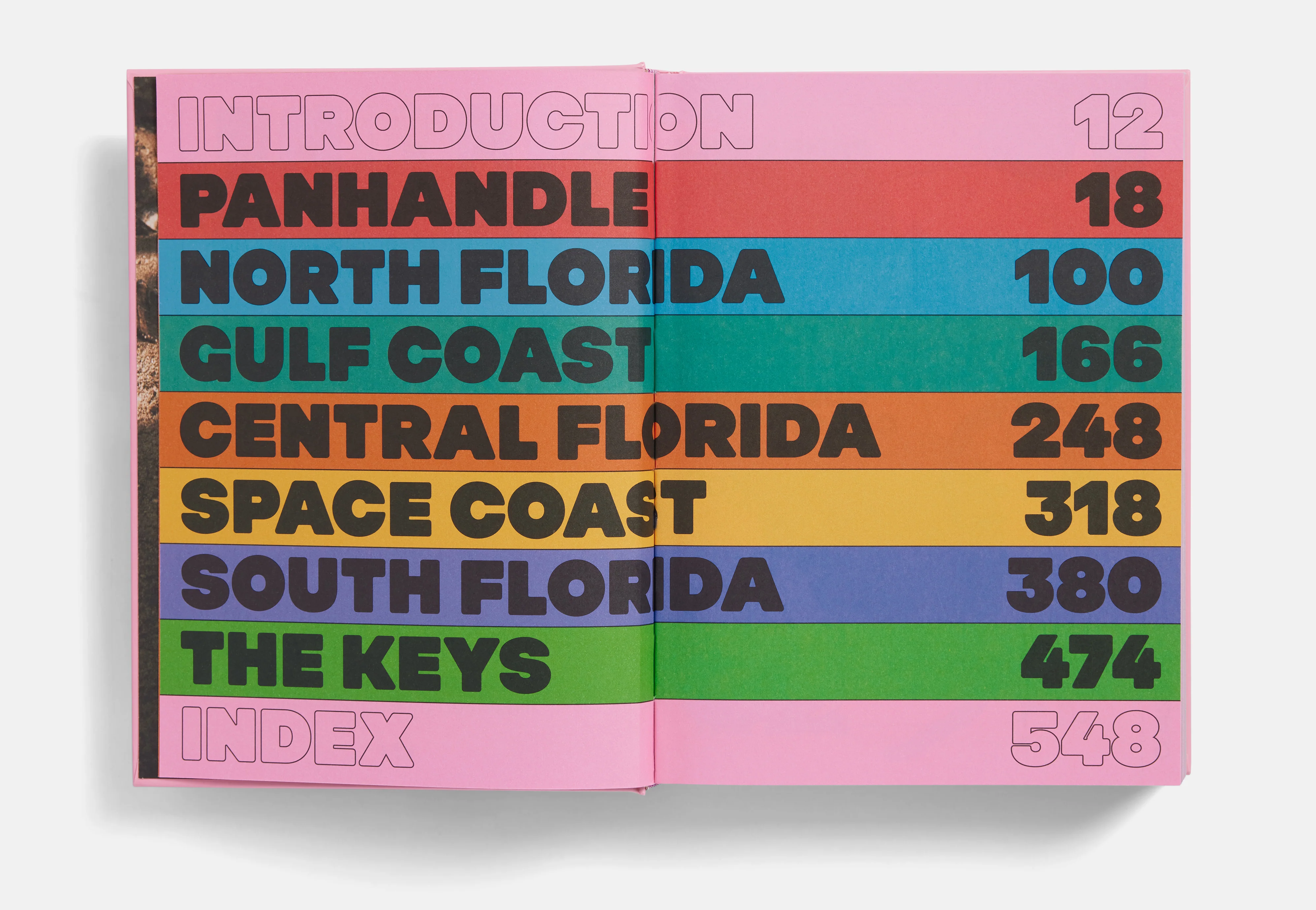 Florida! - Image 2