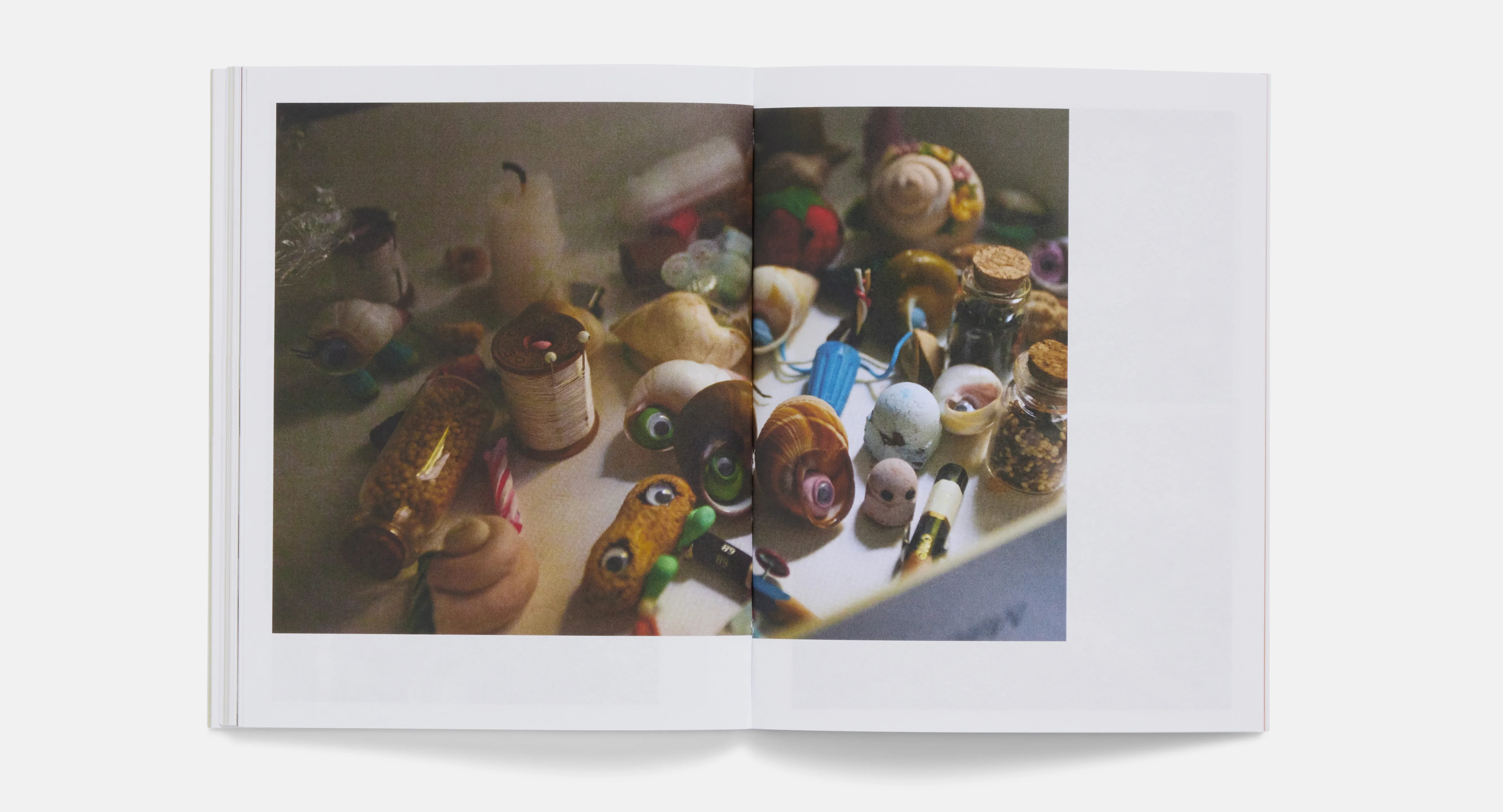 Marcel the Shell Blu-ray - Image 8