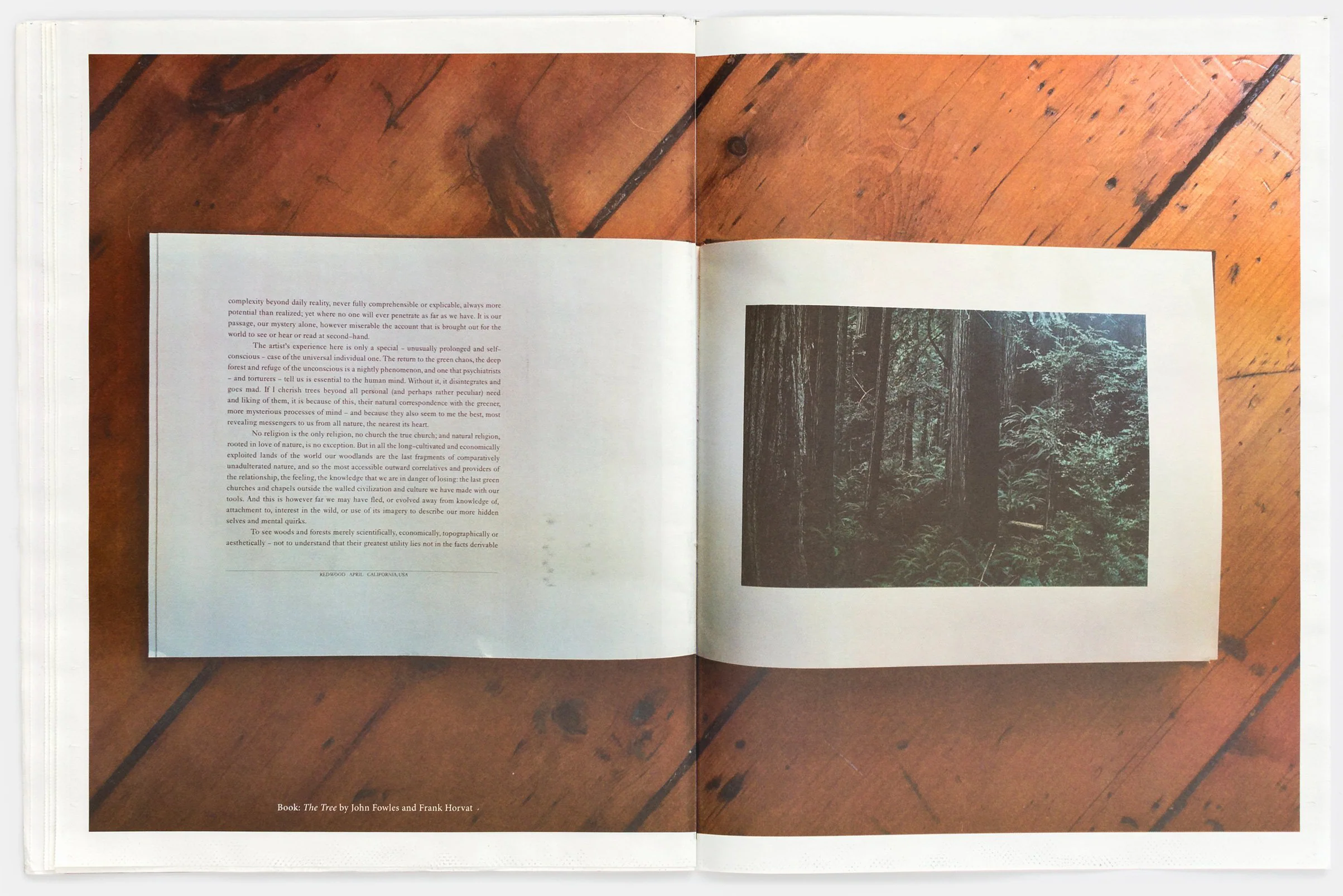 Redwoods Zine by Kate & Laura Mulleavy - Image 3