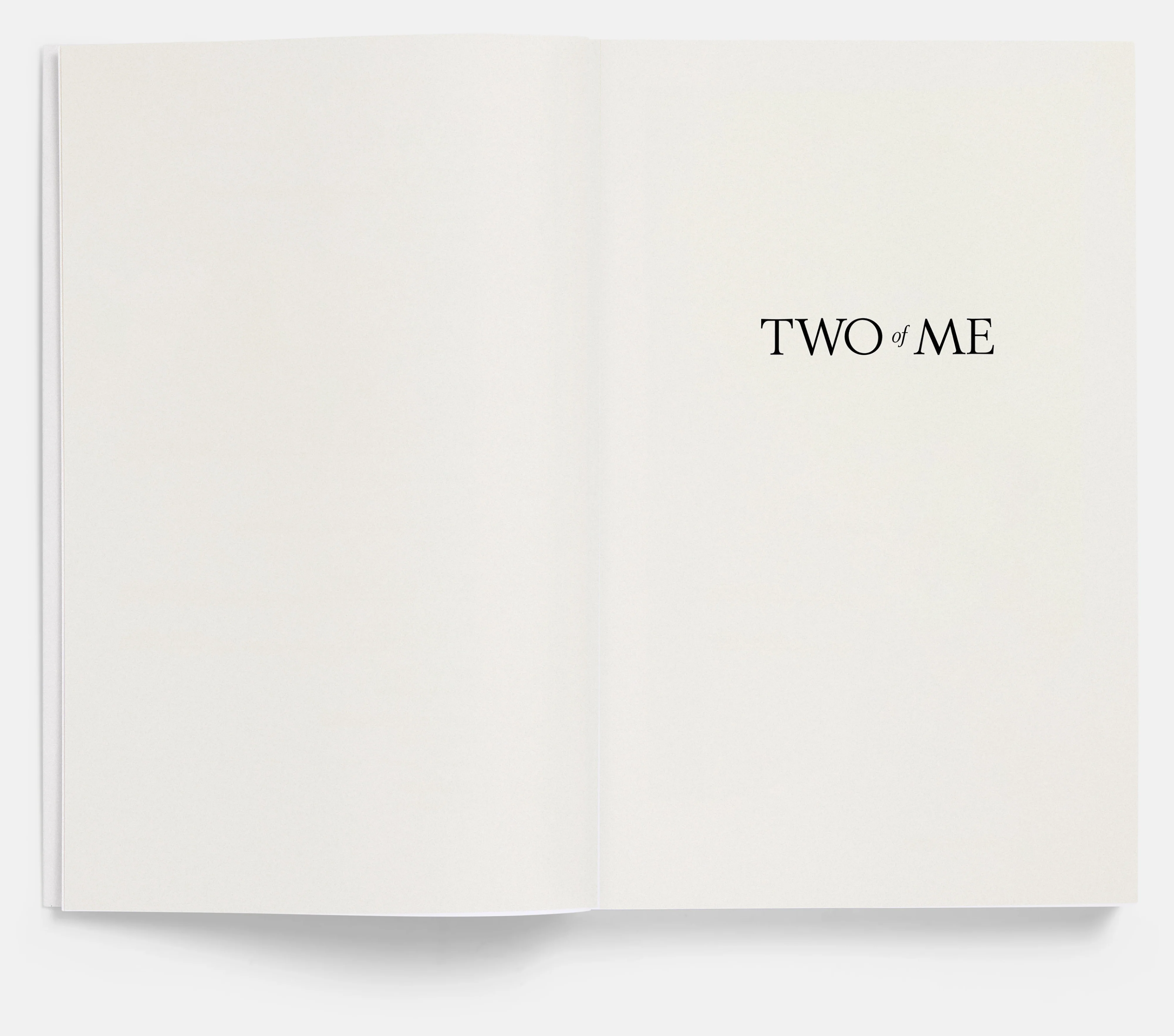 Two of Me by Eleanor Coppola - Image 2